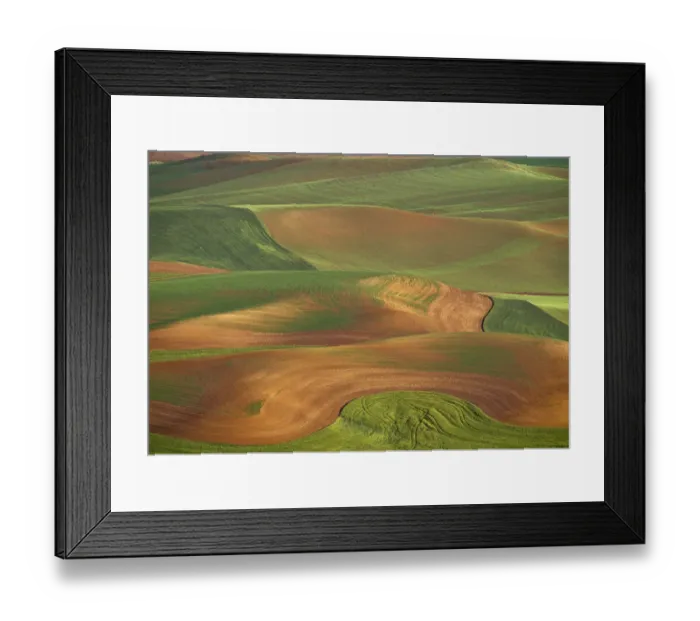 Framed Print : USA, Washington State, Palouse. Rolling wheat field