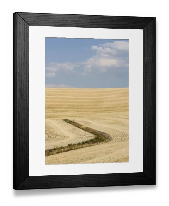 Framed Print : USA, Palouse, Washington State. Wheat field after harvest in the Palouse Region Framed Print : USA, Palouse, Washington State. Wheat field after harvest in the Palouse Region