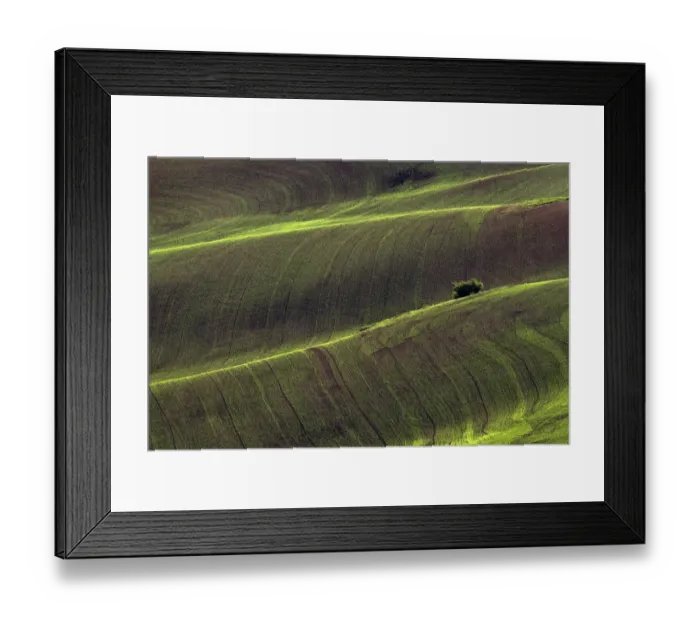 Framed Print : USA, Washington State, Palouse. Rolling wheat field Framed Print : USA, Washington State, Palouse. Rolling wheat field