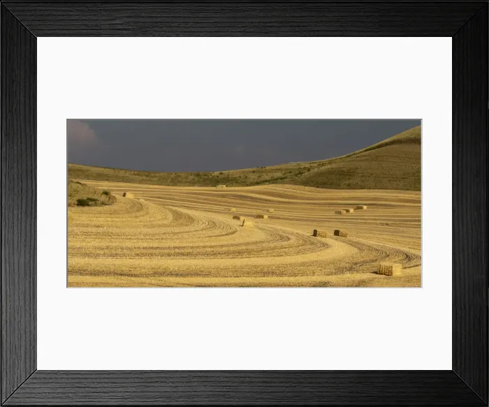 Framed Print : USA, Colfax, Washington State, Palouse region