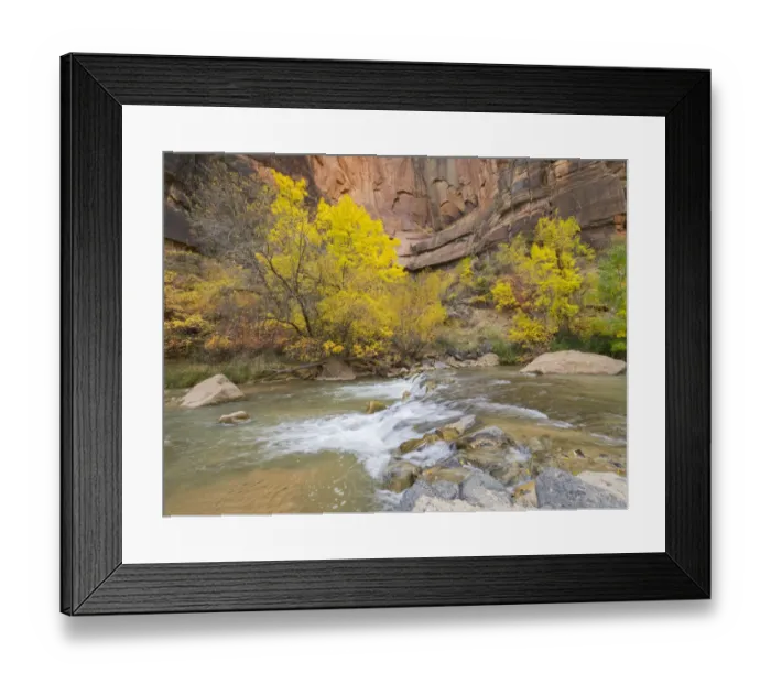 Framed Print : Utah, Zion National Park, Virgin River Framed Print : Utah, Zion National Park, Virgin River