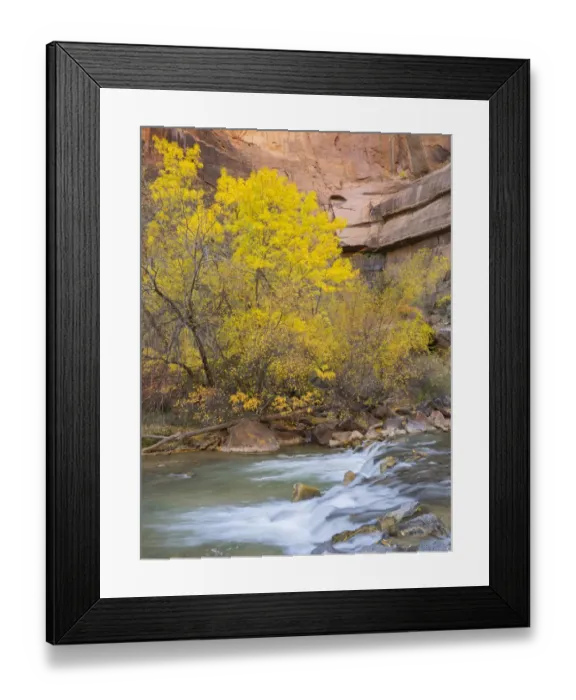 Framed Print : Utah, Zion National Park, Virgin River