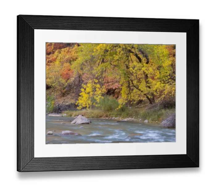 Framed Print : Utah, Zion National Park, Virgin River Framed Print : Utah, Zion National Park, Virgin River