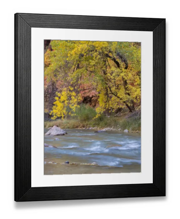 Framed Print : Utah, Zion National Park, Virgin River Framed Print : Utah, Zion National Park, Virgin River