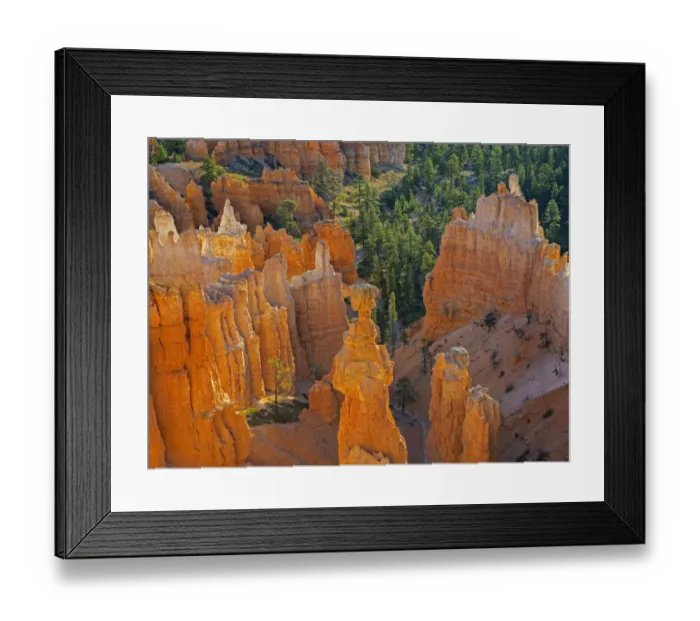 Framed Print : Utah, Bryce Canyon National Park. Thors Hammer Framed Print : Utah, Bryce Canyon National Park. Thors Hammer