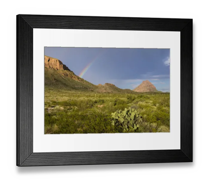 Framed Print : Chihuahuan Desert Framed Print : Chihuahuan Desert