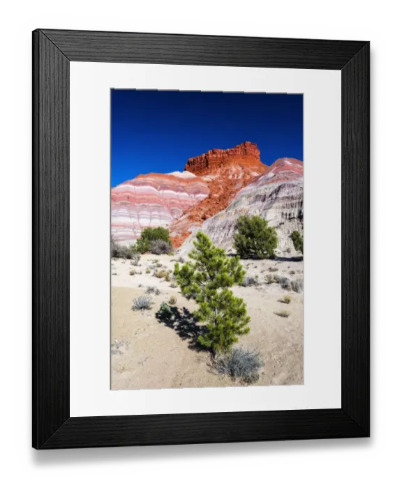 Framed Print : Evening light on the Cockscomb, Grand Staircase-Escalante National Monument, Utah, USA