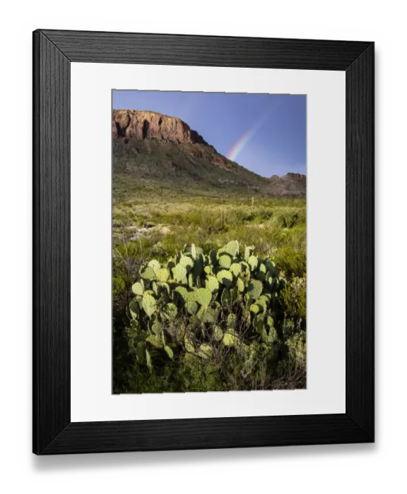 Framed Print : Chihuahuan Desert