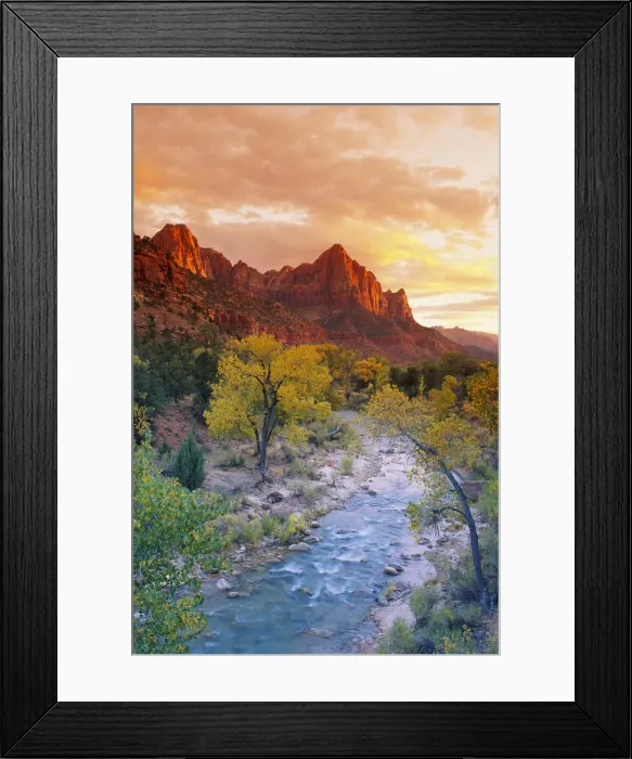 Framed Print : Evening light on Watchman Peak above the Virgin River, Zion Canyon, Zion National Park, Utah, USA Framed Print : Evening light on Watchman Peak above the Virgin River, Zion Canyon, Zion National Park, Utah, USA