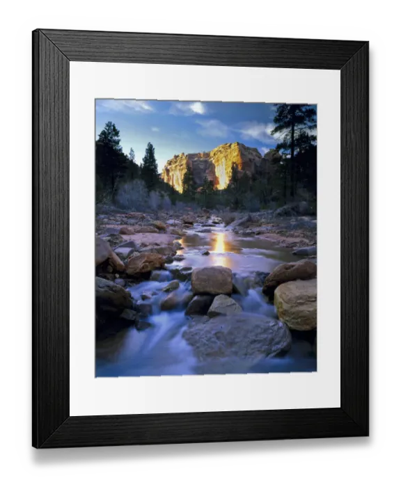 Framed Print : Bears Ears National Monument, Utah. USA. Creek in Arch Canyon. Manti-La Sal National Forest Framed Print : Bears Ears National Monument, Utah. USA. Creek in Arch Canyon. Manti-La Sal National Forest