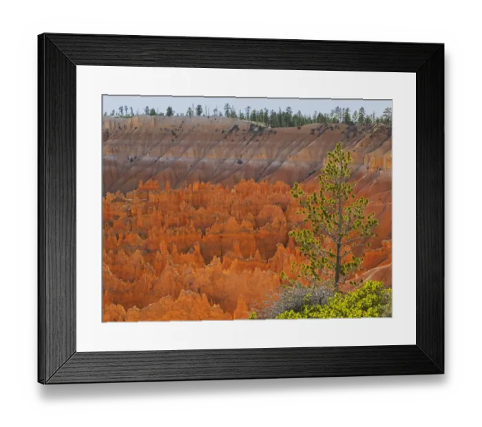 Framed Print : Utah, Bryce Canyon National Park. View of canyon with hoodoos Framed Print : Utah, Bryce Canyon National Park. View of canyon with hoodoos