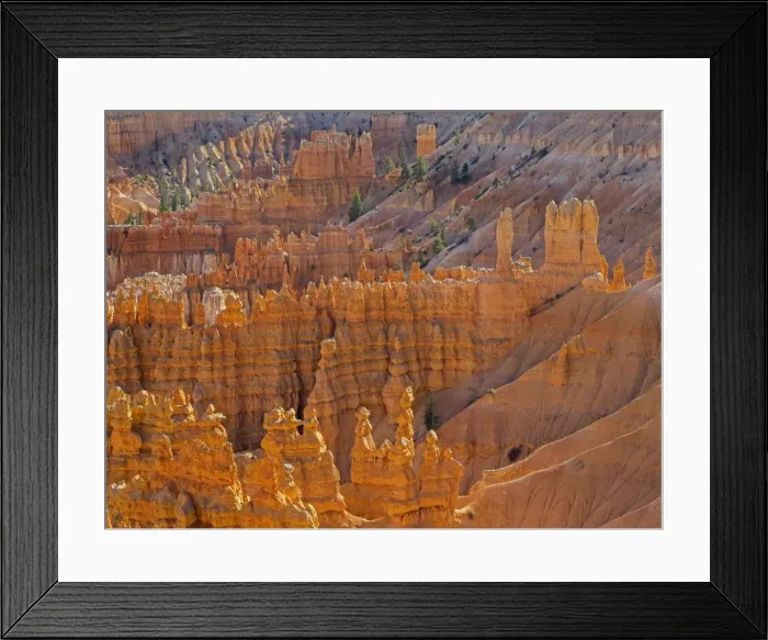 Framed Print : Utah, Bryce Canyon National Park. View of canyon with hoodoos Framed Print : Utah, Bryce Canyon National Park. View of canyon with hoodoos
