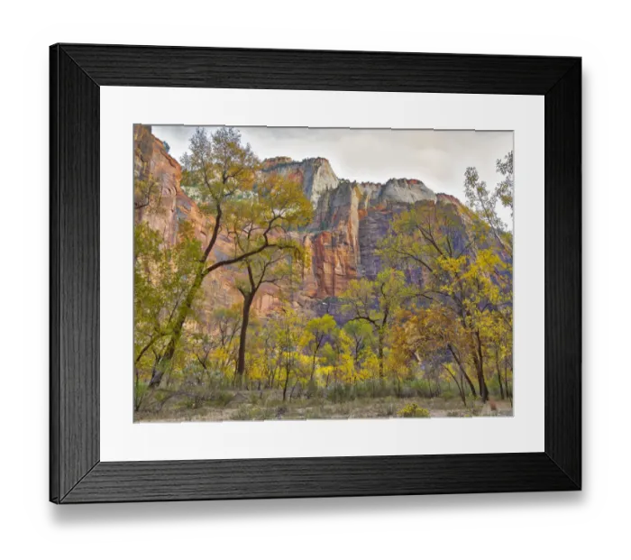 Framed Print : Utah, Zion National Park Framed Print : Utah, Zion National Park