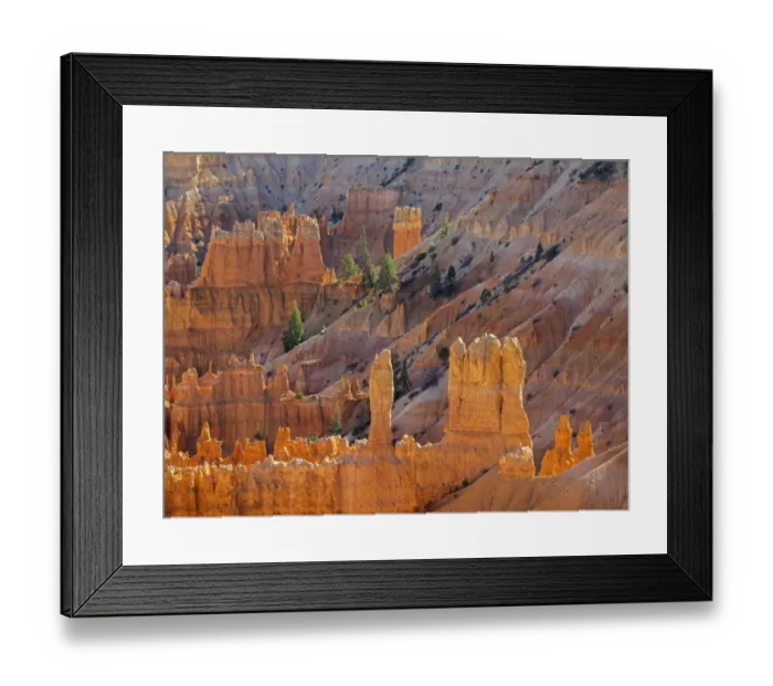 Framed Print : Utah, Bryce Canyon National Park. View of canyon with hoodoos Framed Print : Utah, Bryce Canyon National Park. View of canyon with hoodoos