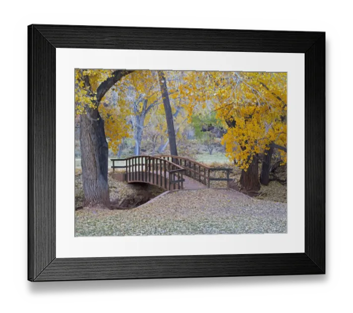Framed Print : Utah, Capitol Reef National Park, bridge over Sulphur Creek Framed Print : Utah, Capitol Reef National Park, bridge over Sulphur Creek