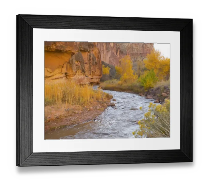 Framed Print : Utah, Capitol Reef National Park, Cottonwood Trees and Fremont River