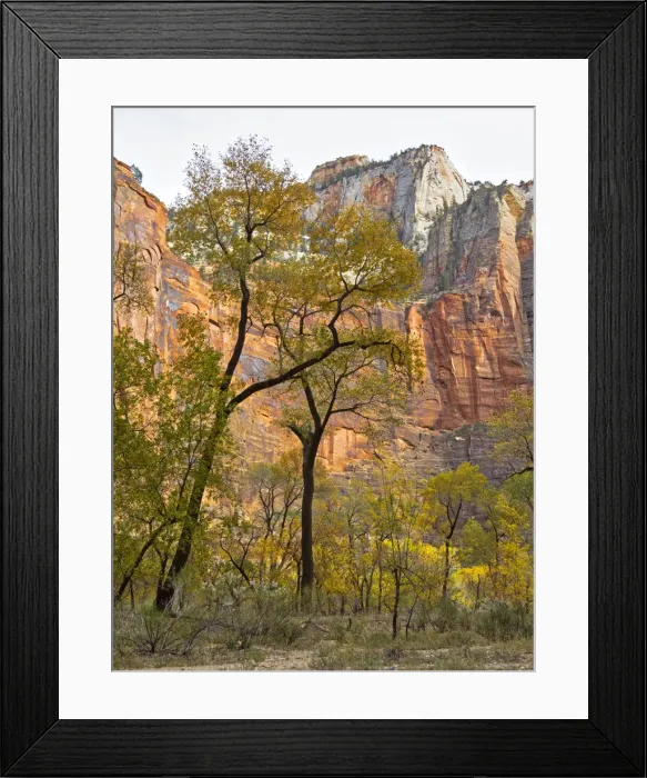 Framed Print : Utah, Zion National Park Framed Print : Utah, Zion National Park