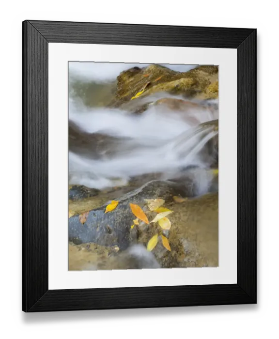 Framed Print : Utah, Zion National Park, Virgin River