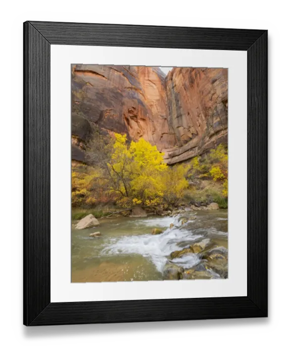 Framed Print : Utah, Zion National Park, Virgin River Framed Print : Utah, Zion National Park, Virgin River