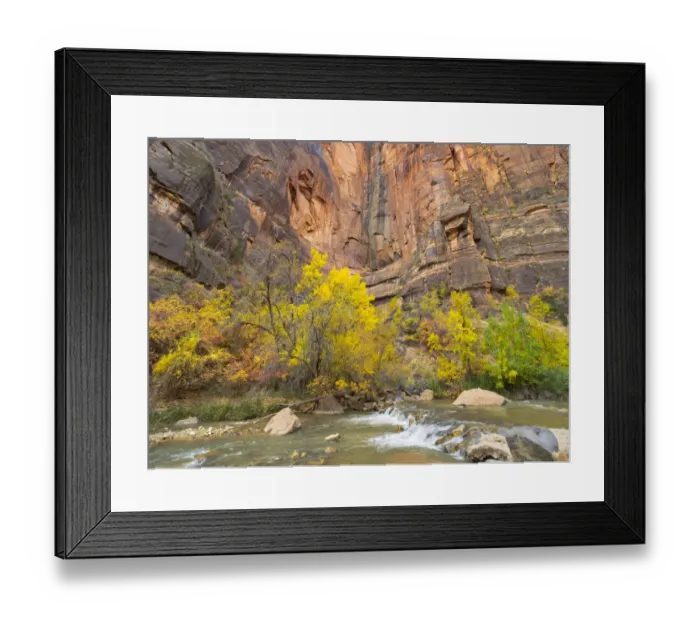 Framed Print : Utah, Zion National Park, Virgin River Framed Print : Utah, Zion National Park, Virgin River