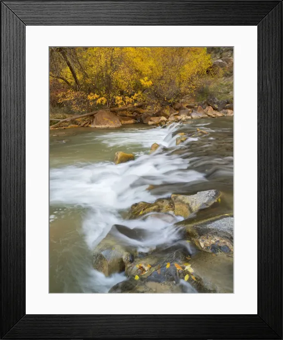 Framed Print : Utah, Zion National Park, Virgin River Framed Print : Utah, Zion National Park, Virgin River
