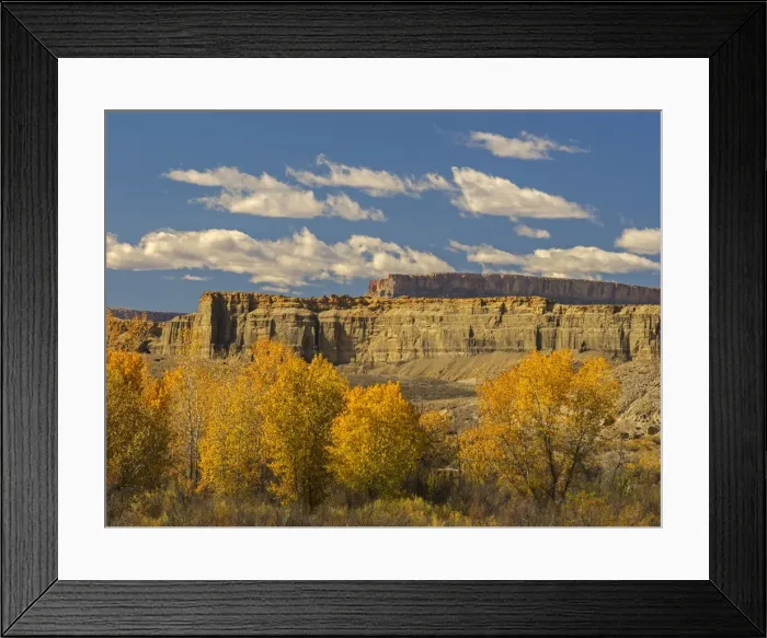 Framed Print : Utah, Wayne County, Upper Blue Hills