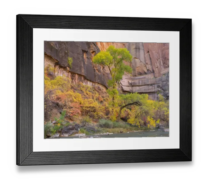 Framed Print : Utah, Zion National Park, Virgin River