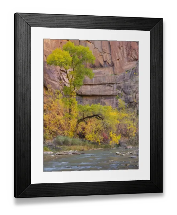 Framed Print : Utah, Zion National Park, Virgin River