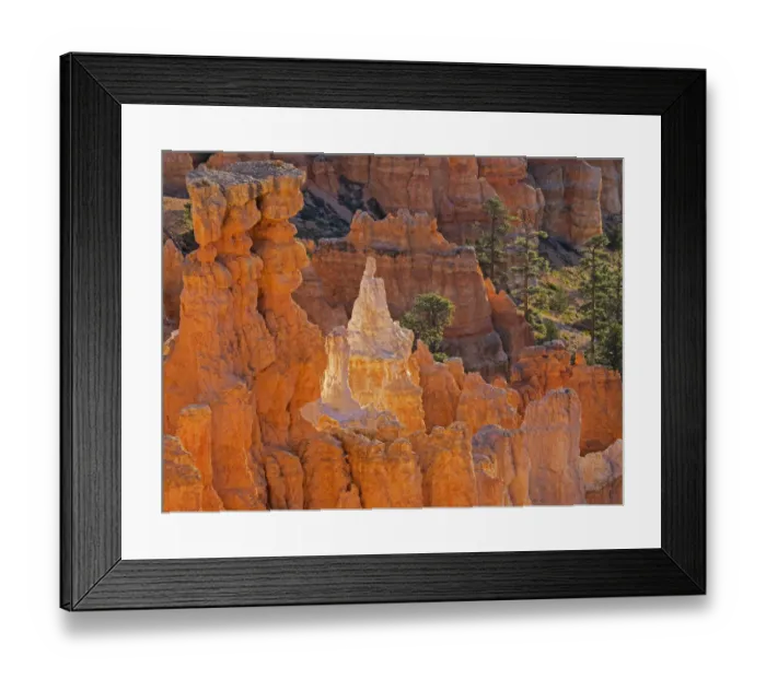 Framed Print : Utah, Bryce Canyon National Park. Queens Garden, Queen Victoria formation Framed Print : Utah, Bryce Canyon National Park. Queens Garden, Queen Victoria formation