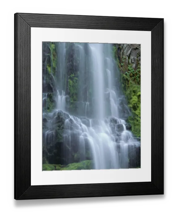 Framed Print : USA, Oregon. Willamette National Forest, Three Sisters Wilderness, Lower Proxy Falls and lush moss Framed Print : USA, Oregon. Willamette National Forest, Three Sisters Wilderness, Lower Proxy Falls and lush moss
