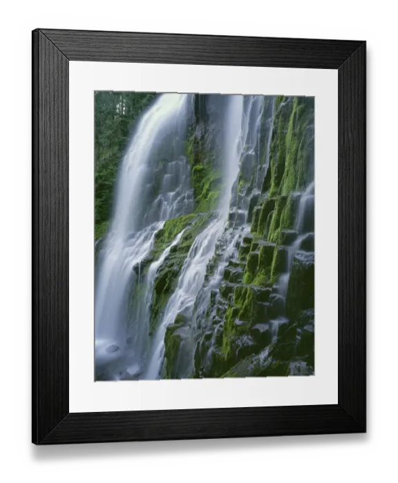 Framed Print : USA, Oregon. Willamette National Forest, Three Sisters Wilderness, Lower Proxy Falls Framed Print : USA, Oregon. Willamette National Forest, Three Sisters Wilderness, Lower Proxy Falls