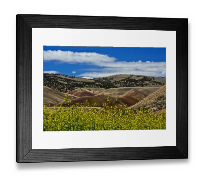 Framed Print : Painted Hills Mitchell Oregon USA