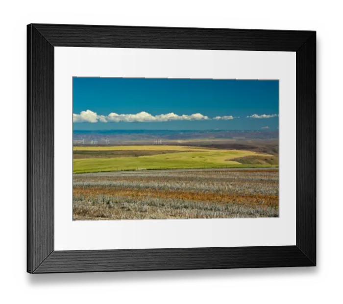 Framed Print : Colorful fields and wind turbines, Gilliam County, Oregon, USA Framed Print : Colorful fields and wind turbines, Gilliam County, Oregon, USA