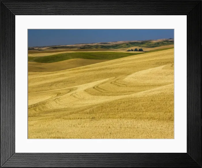 Framed Print : Fields during harvest Framed Print : Fields during harvest