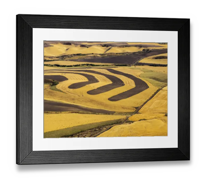 Framed Print : Aerial of harvest in the rolling hills of the Palouse Framed Print : Aerial of harvest in the rolling hills of the Palouse