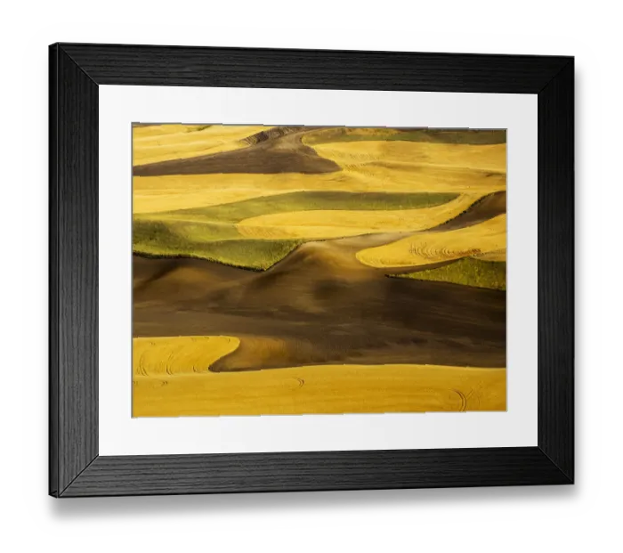 Framed Print : Aerial of harvest in the rolling hills of the Palouse Framed Print : Aerial of harvest in the rolling hills of the Palouse