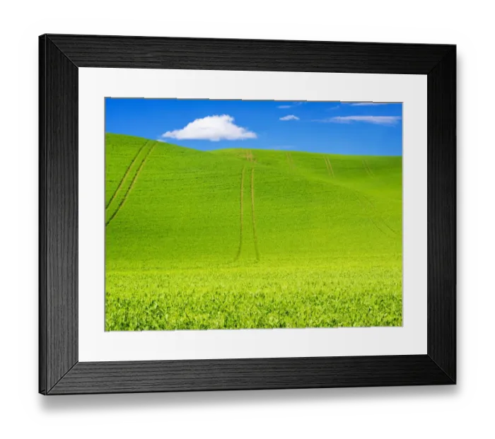 Framed Print : Wheel Patterns in Spring pea fields