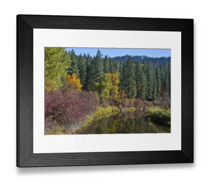 Framed Print : Autumn color, reflections, Leavenworth National Fish Hatchery, Washington State, USA Framed Print : Autumn color, reflections, Leavenworth National Fish Hatchery, Washington State, USA