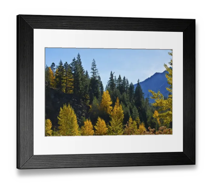 Framed Print : Autumn color, Icicle Gorge, Wenatchee National Forest, Washington State, USA