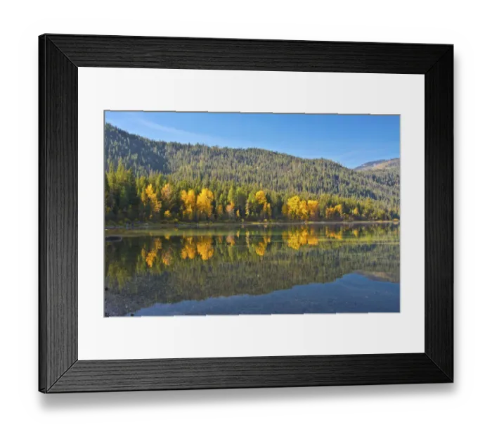 Framed Print : Autumn reflections, Lake Wenatchee, Wenatchee National Forest, Washington State, USA Framed Print : Autumn reflections, Lake Wenatchee, Wenatchee National Forest, Washington State, USA