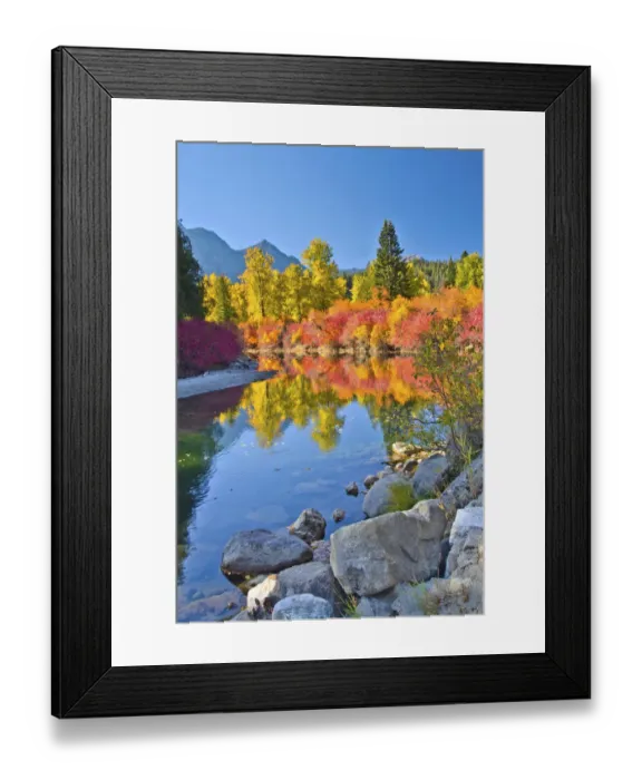 Framed Print : Autumn color, White River, Wenatchee National Forest, Washington State, USA