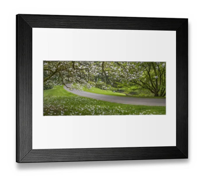 Framed Print : USA, Washington State, Bainbridge Island Framed Print : USA, Washington State, Bainbridge Island