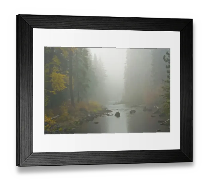 Framed Print : Foggy autumn, Nason Creek, Wenatchee National Forest, Washington State, USA Framed Print : Foggy autumn, Nason Creek, Wenatchee National Forest, Washington State, USA