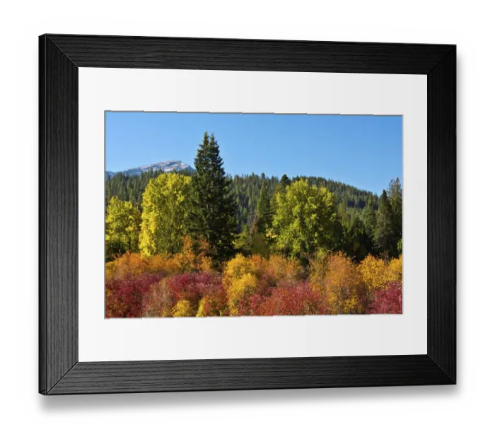 Framed Print : Autumn color, White River, Wenatchee National Forest, Washington State, USA