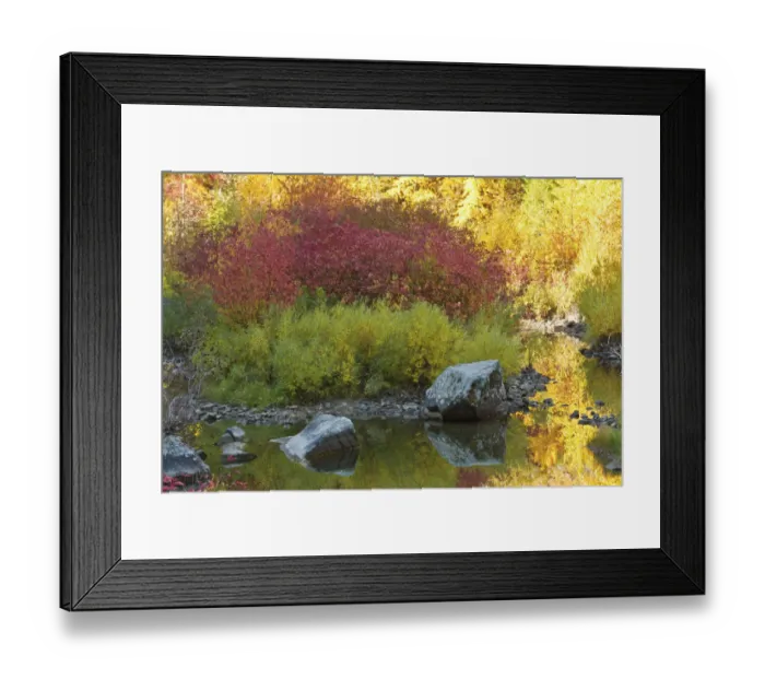 Framed Print : Autumn, Tumwater Canyon, Wenatchee National Forest, Washington State, USA
