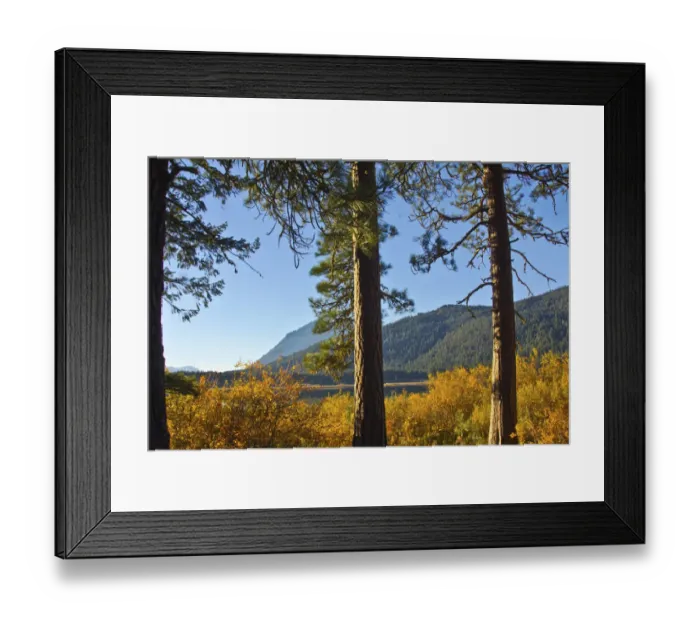 Framed Print : Autumn foliage, Fish Lake, Wenatchee National Forest, Washington State, USA Framed Print : Autumn foliage, Fish Lake, Wenatchee National Forest, Washington State, USA