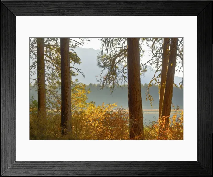 Framed Print : Autumn foliage, Fish Lake, Wenatchee National Forest, Washington State, USA Framed Print : Autumn foliage, Fish Lake, Wenatchee National Forest, Washington State, USA