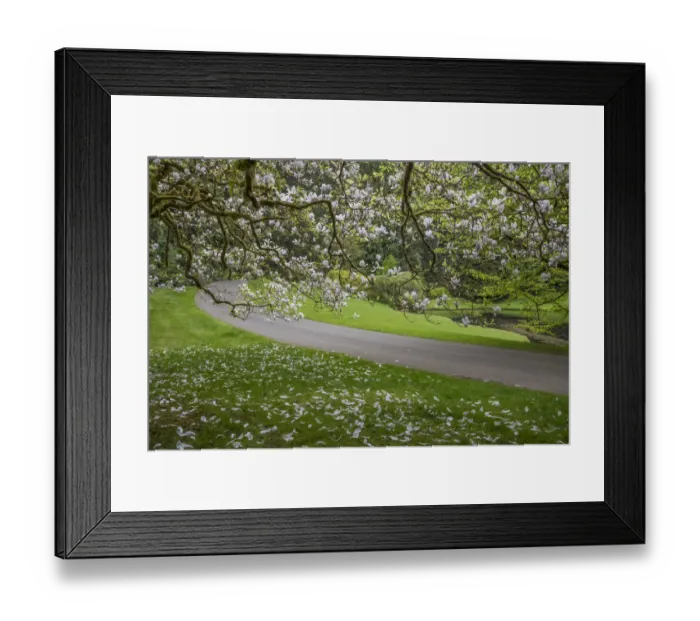 Framed Print : USA, Washington State, Bainbridge Island Framed Print : USA, Washington State, Bainbridge Island