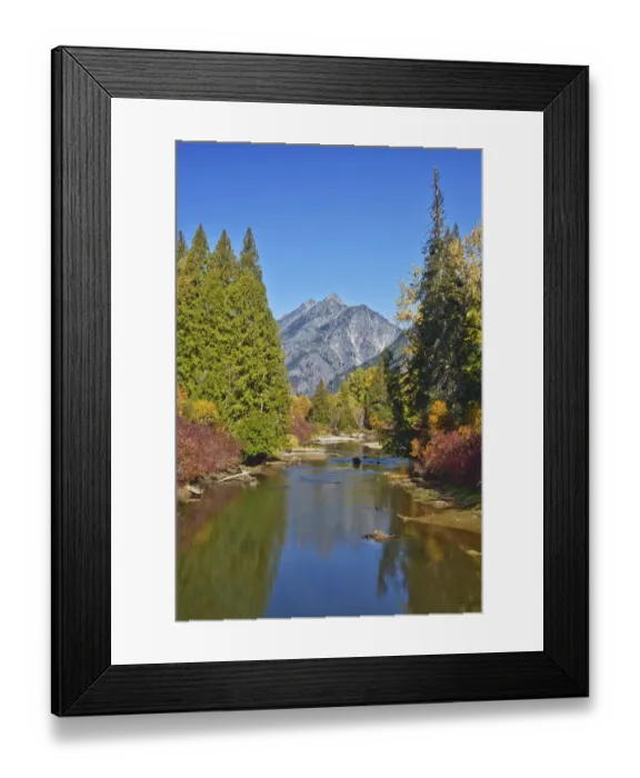 Framed Print : Autumn foliage, White River, Wenatchee National Forest, Washington State, USA Framed Print : Autumn foliage, White River, Wenatchee National Forest, Washington State, USA
