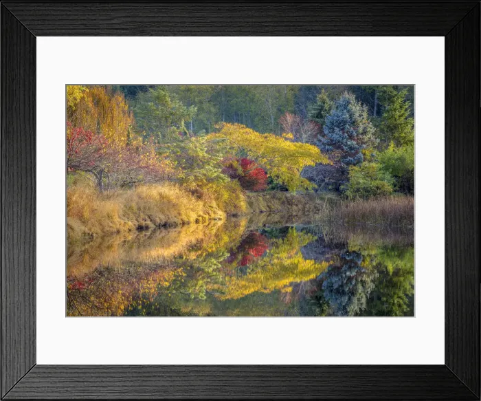 Framed Print : USA, Washington State, Seabeck. Fall color reflected in tidal lagoon